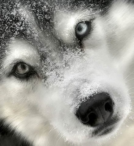 Ольга Титова | Белорецк