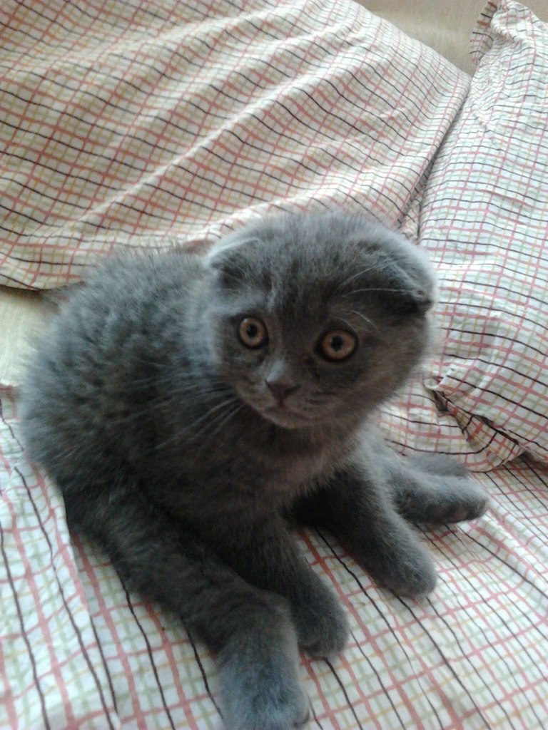 Виталий Ечин | Москва