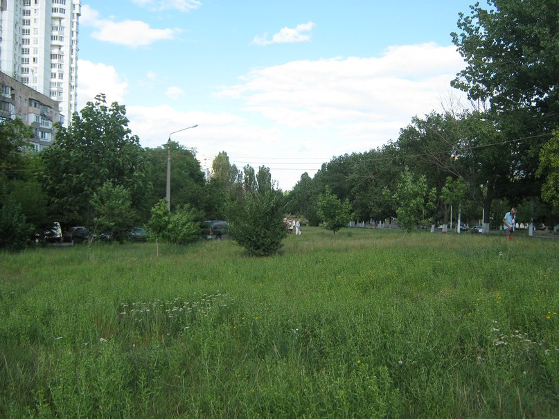 Ирина Ивасюк | Одесса