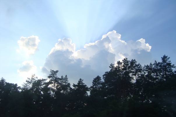 №11, Андрій Девіс, 35 лет, Киев №11, Андрій Девіс, 35 лет, Киев