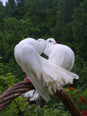 Анна Бухтий | Черкассы
