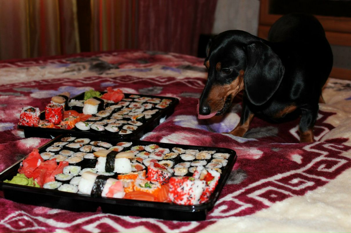 Юлия Соляник | Киев