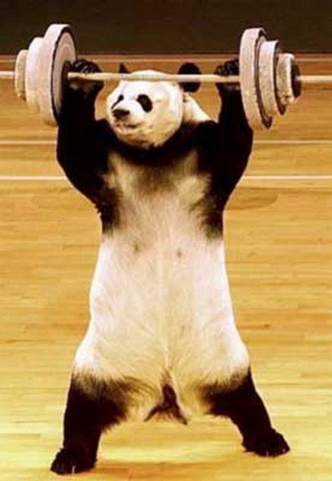 Гена Смолин ¯̿ ̿|̿ ̿ |   | |͇̿ ͇̿ ͇̿_ | Волгоград