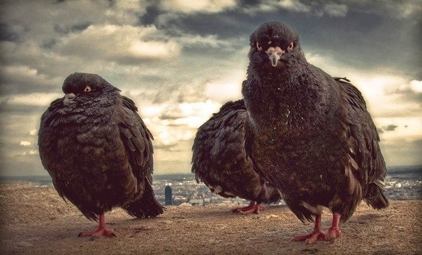 Иван Симаков | Красноярск