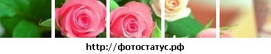 Фотография Лариса Черанёва