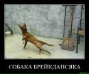 №36 Ирина Житкевич 15.03: профиль, фото, статус - ВКонтакте