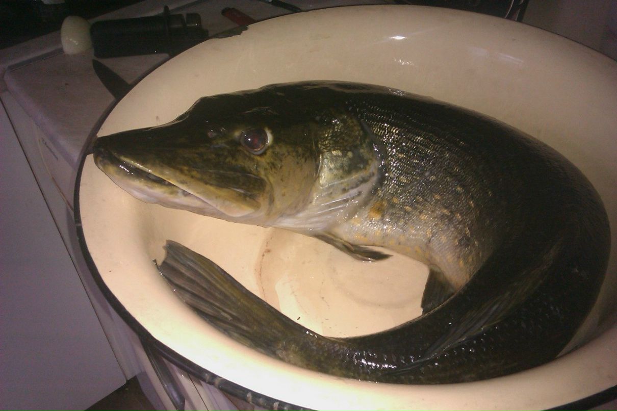 Мария Кононова | Санкт-Петербург