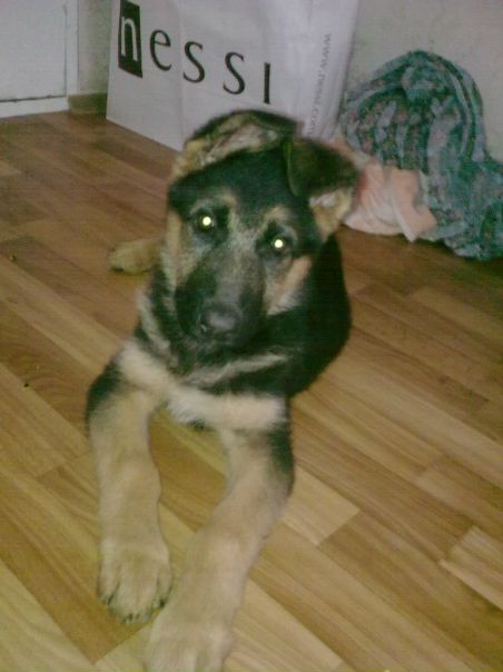 №4, Наталья Черныш, Киев №4, Наталья Черныш, Киев