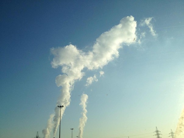 Андрей Корбут | Санкт-Петербург