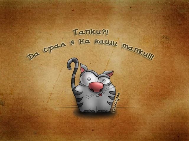 Елена Николаева | 