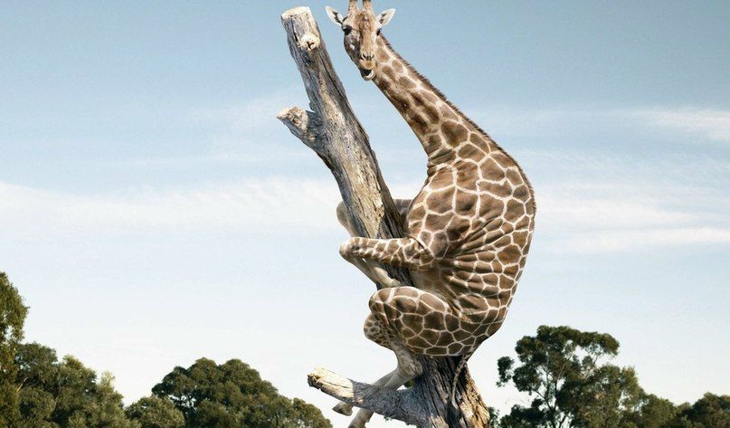 №15, Антон Громов, 39 лет, Санкт-Петербург №15, Антон Громов, 39 лет, Санкт-Петербург