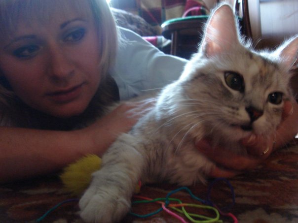 Viktoriy Shark фото профиля #1