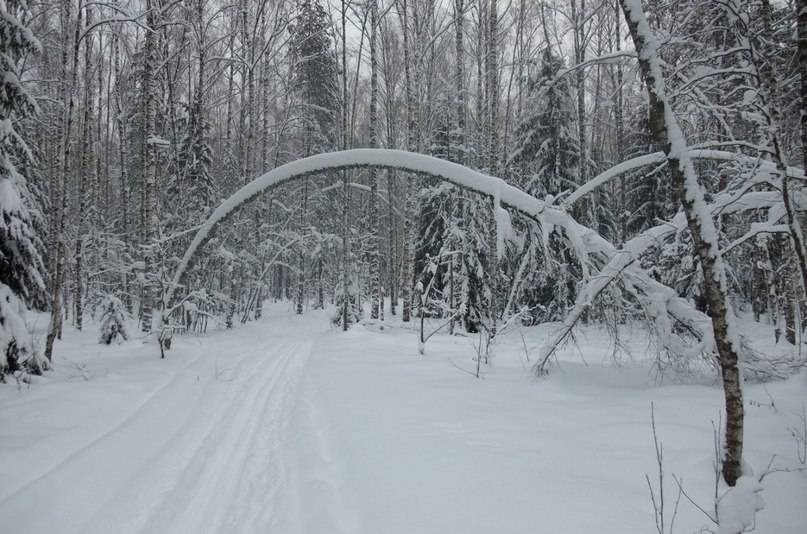 Илья Маракушев | Москва