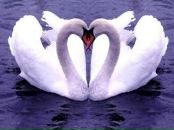 №20 Игорь Лебедев 21.12: профиль, фото, статус - ВКонтакте №20 Игорь Лебедев 21.12: профиль, фото, статус - ВКонтакте