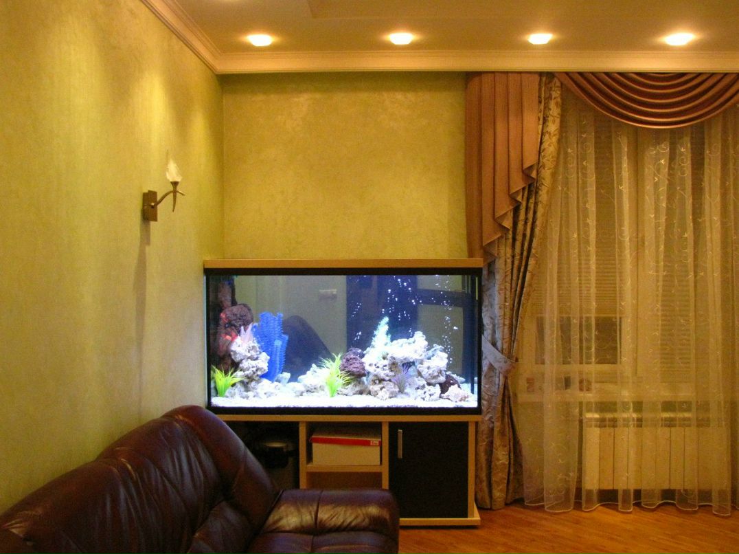 Александр Тимофеев | Санкт-Петербург