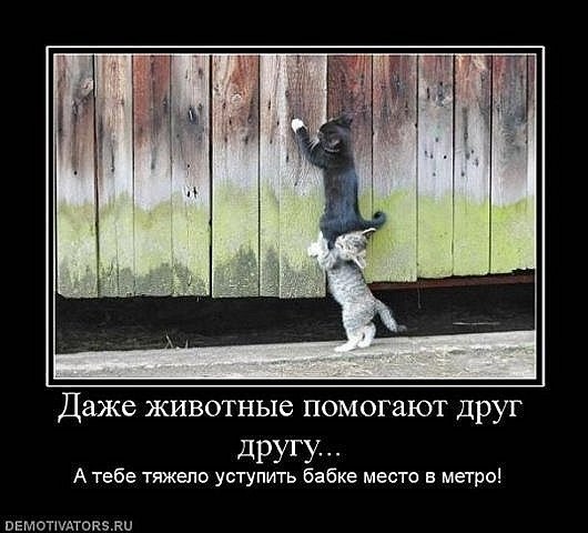 Димка Четин | Пермь