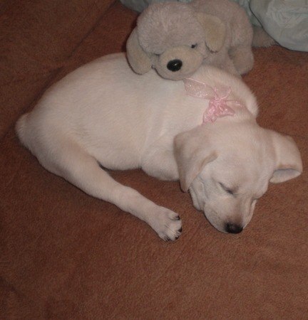 Анастасия Шабан | Щелково