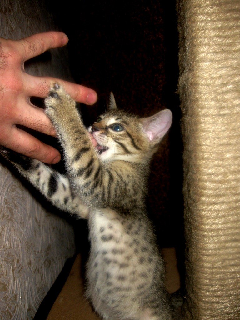 Руслан Алексеевич | Красноярск