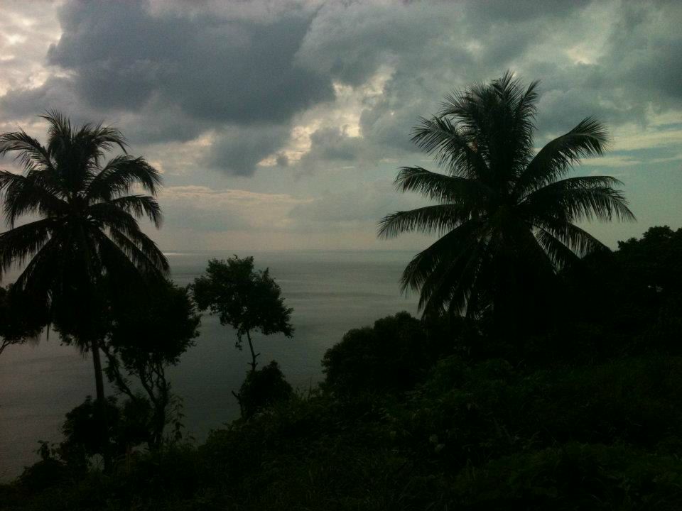 Lou Albekova Albekova | Москва