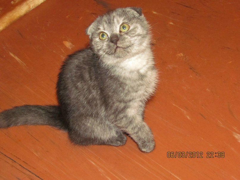 Елена Рогалева | Санкт-Петербург