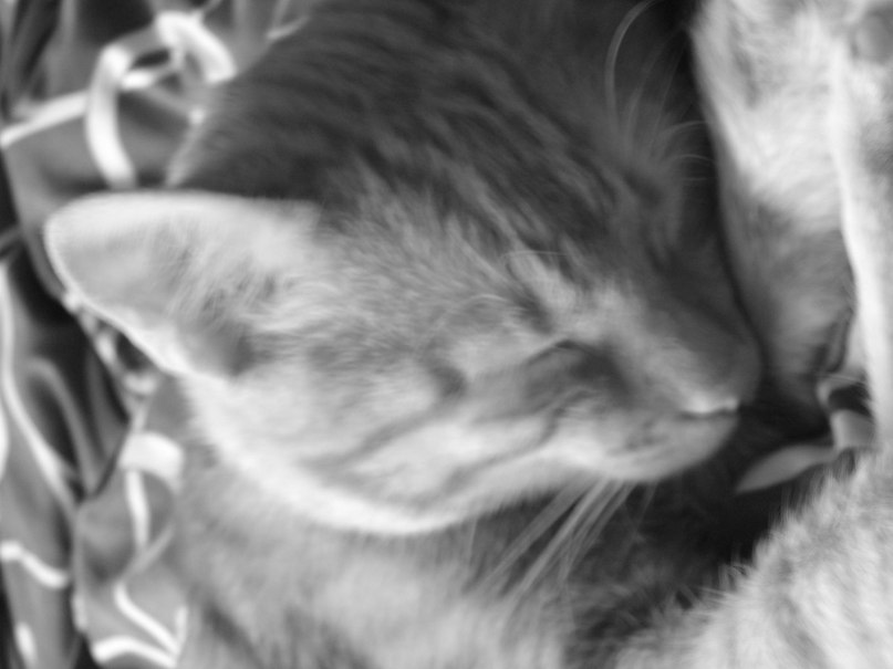 Александр Александров KARP | Харьков