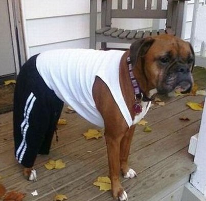 Игорь Семенов | Санкт-Петербург