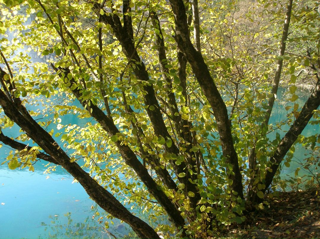 Анастасия Викарчук | Москва