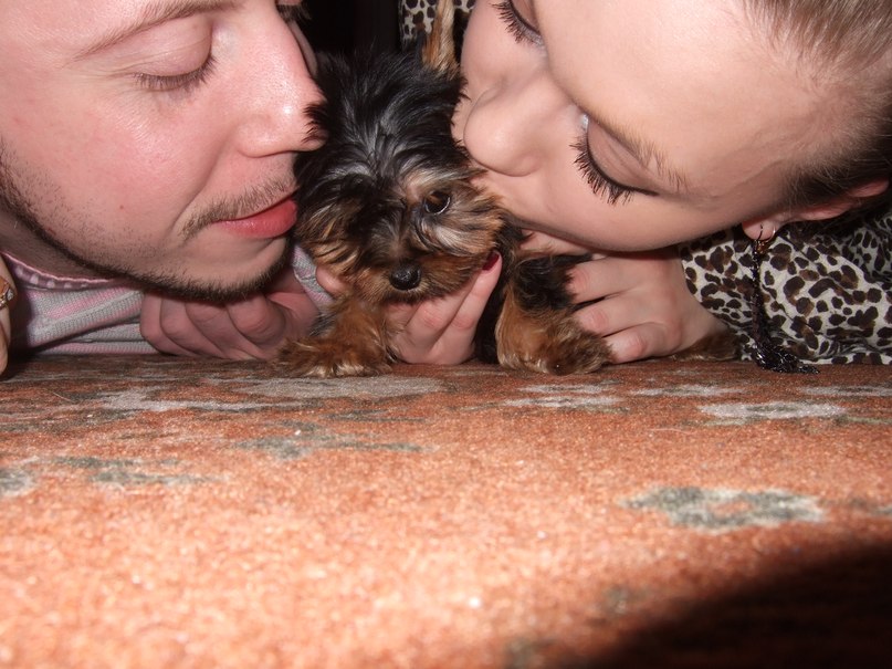 Антон Филатов ˙·٠•●๑۩ FIL ۩๑●•٠·˙ | Москва