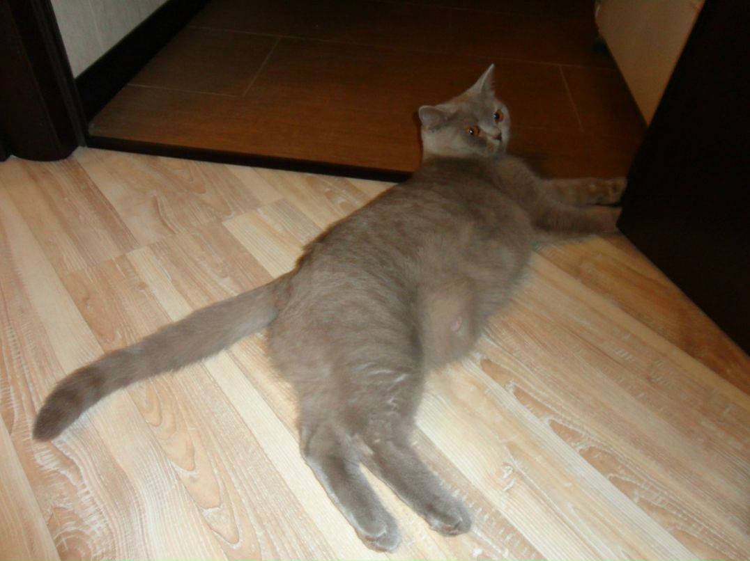 Сергей Колесников | Москва