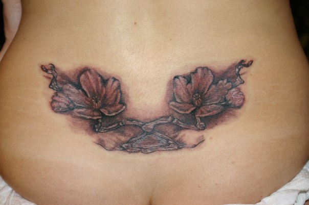 №19, Вова Володин №19, Вова Володин