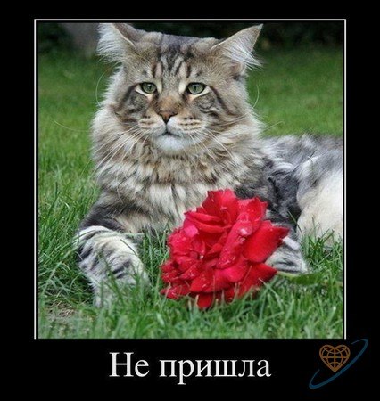 №33, Арсений Шорохов, 35 лет, Вильнюс №33, Арсений Шорохов, 35 лет, Вильнюс