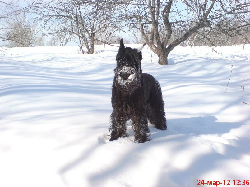 №32, Александр Дегтярев, Петрозаводск №32, Александр Дегтярев, Петрозаводск