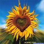 Валентина Дудчак | 