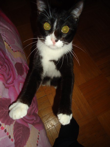 Иван Евграфов | Казань