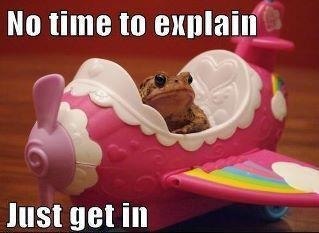 Олежа Задорожный Шкодник неуёмный | Киев