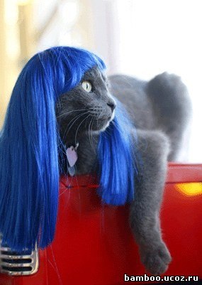 Марина Алифанова | Киров