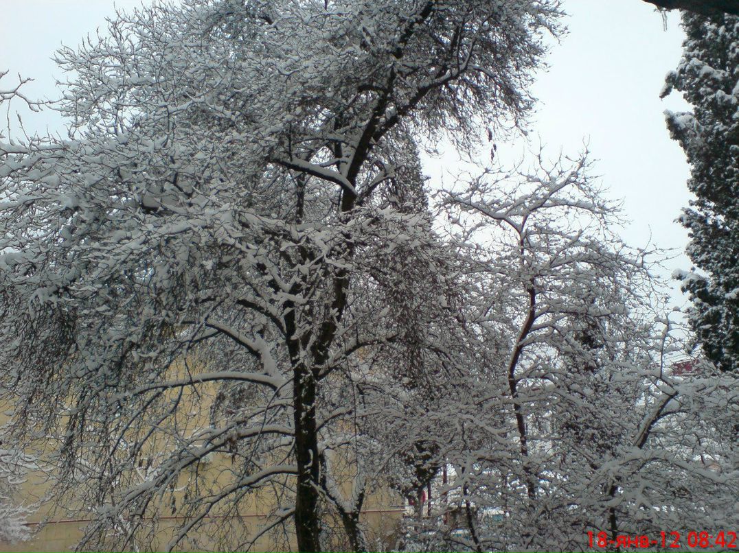 Екатерина Францева СЕРГЕЕВНА | Севастополь