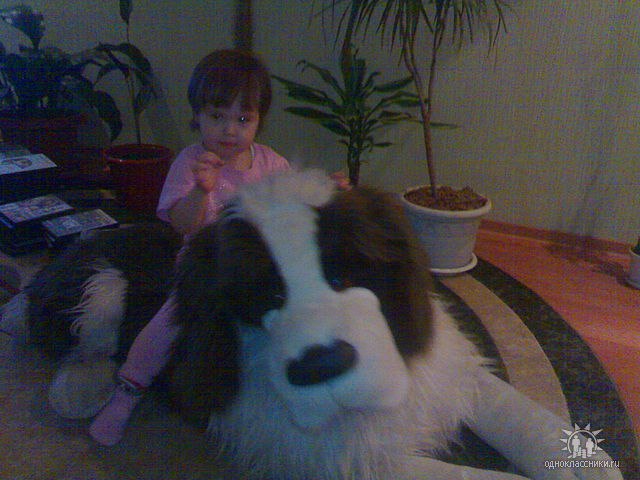 Ирина Чикирина | Находка