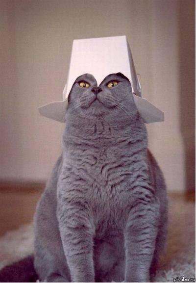 Владимир Коннов =Violet Hedgehog= | Самара