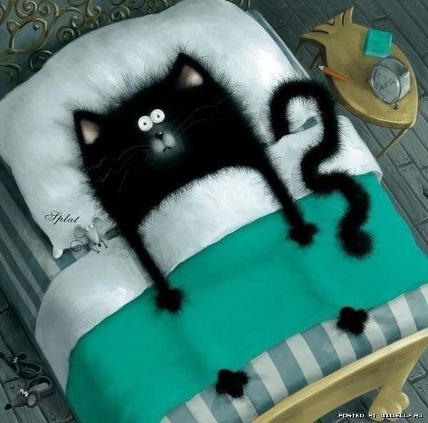 Максим Мировой | Днепр (Днепропетровск)