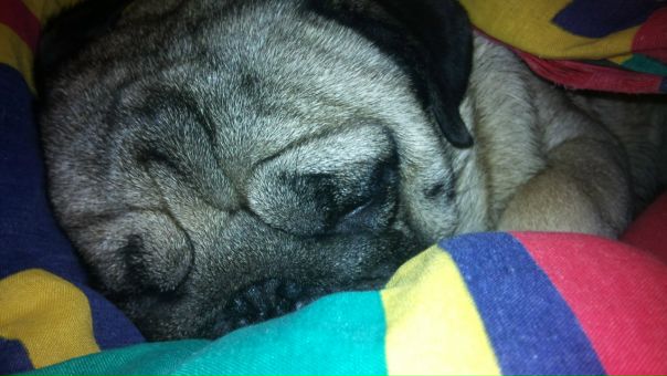 №64, Наталия Лазарева, Киев №64, Наталия Лазарева, Киев