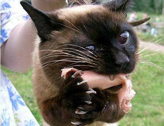 Мария Моисейчева | Киев