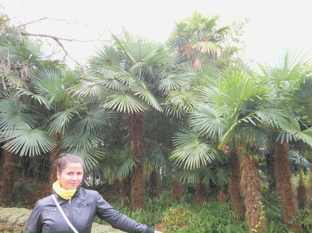 Дарья Тонкопеева | Харьков