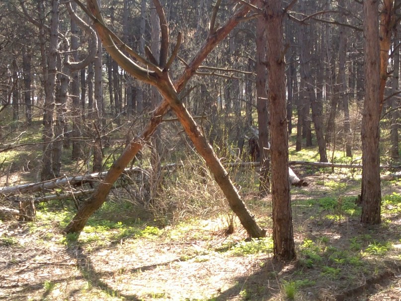 Юрий Градинович | Запорожье