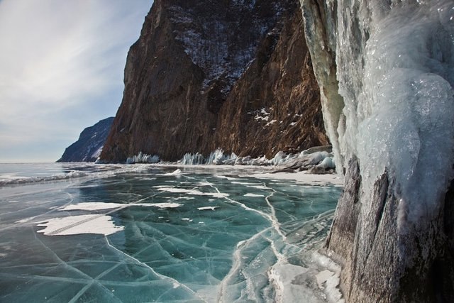 Ольга Косолапова | Новосибирск