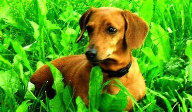 Мария Коврова -‘๑’-[유 ♥웃]-‘๑’- | Иваново