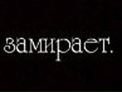 Кристина Самчук | Запорожье