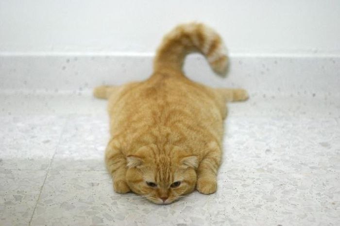 Оксана Трубаева | Москва