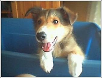 №1, Drugs Banny, 37 лет, Набережные Челны №1, Drugs Banny, 37 лет, Набережные Челны