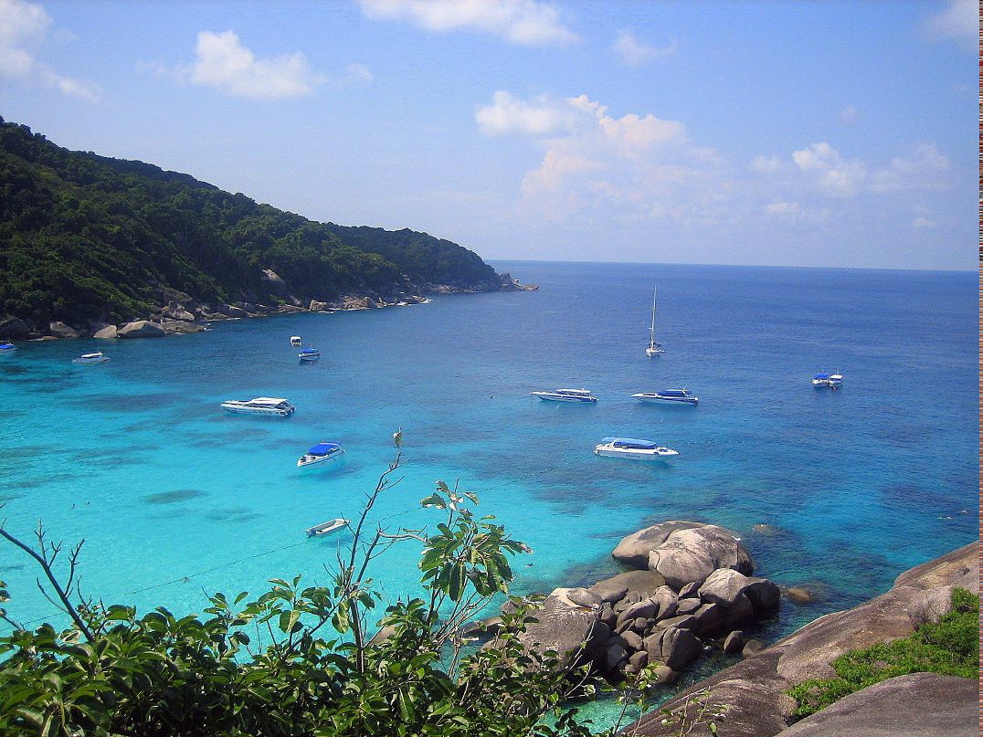 Елена Буцяк-Теремизова | Санкт-Петербург